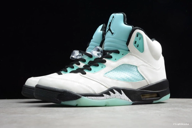 CN2932-100 5 Air Island Jordan Green 1007